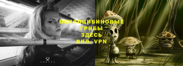 mix Ельня