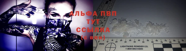 не бодяженный Елабуга