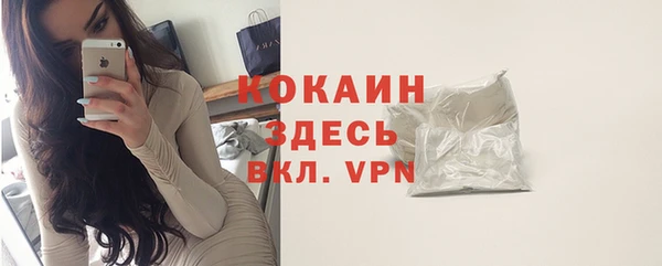 шишки Заволжск