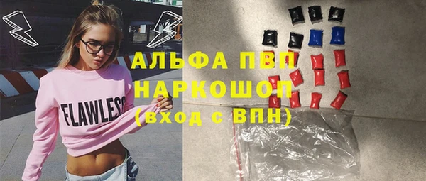 шишки Заволжск