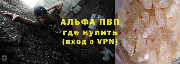 шишки Заволжск