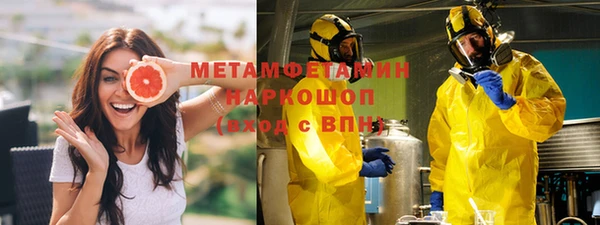 шишки Заволжск